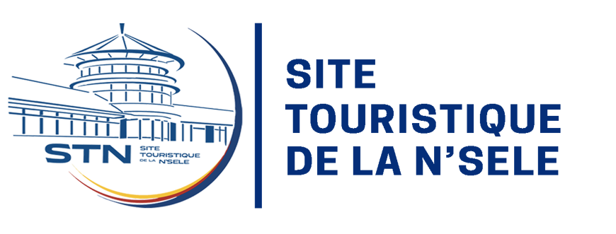 logo_stn