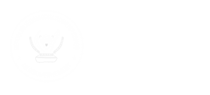 logo_stn